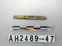 藏品(磨製石針)的圖片